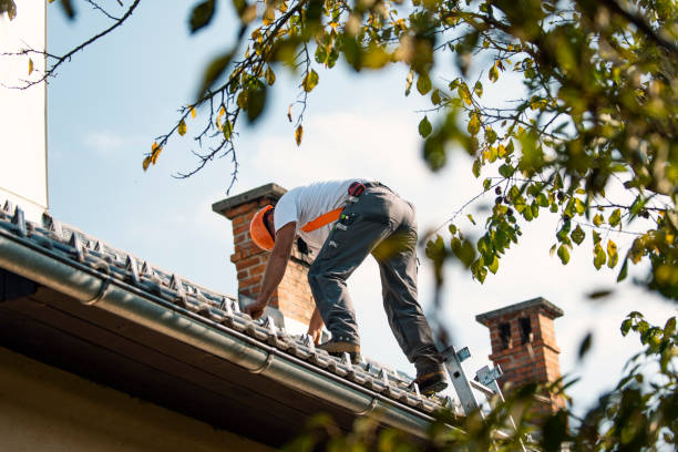 Best Metal Roofing Contractor  in Vienna, VA
